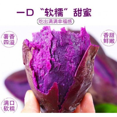 红薯紫薯图4