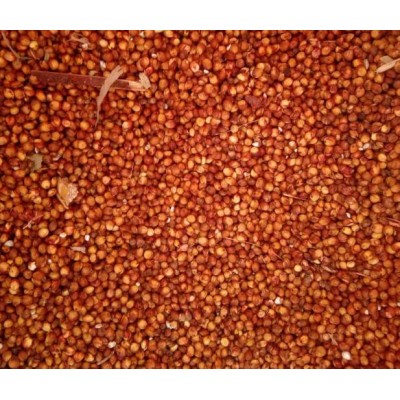 红高粱价格 欢迎询价图2
