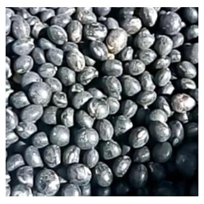 黑黄豆 电话了解报价图2