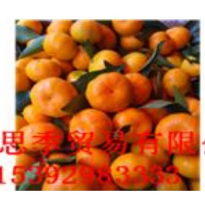 出口湖北蜜桔图5