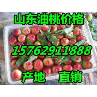 山东油桃便宜质量图3