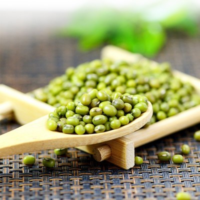 新货东北绿豆5斤袋真空装老品种毛绿豆杂粮易出沙解暑绿豆汤材料图2