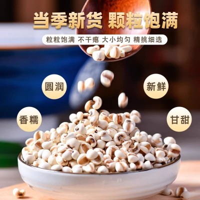 正宗贵州小薏米新鲜农家自产五谷杂粮煲汤煮粥泡茶水薏米仁代发
