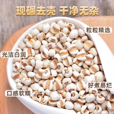 正宗贵州小薏米新鲜农家自产五谷杂粮煲汤煮粥泡茶水薏米仁代发图3