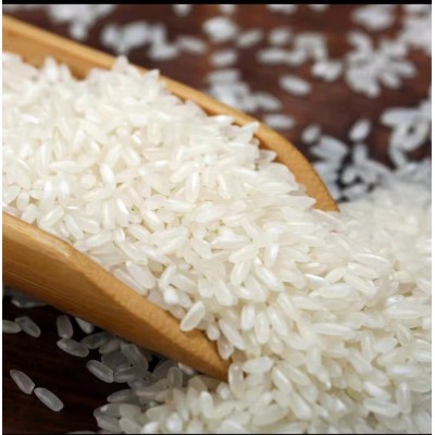 厂家批发龙稻五常大米龙腾尚品5kg10斤东北长粒稻花香米有机大米图4