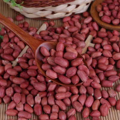 批发四粒红花生米生鲜货东北四粒红农家花生粒25kg红皮小粒花生果图2