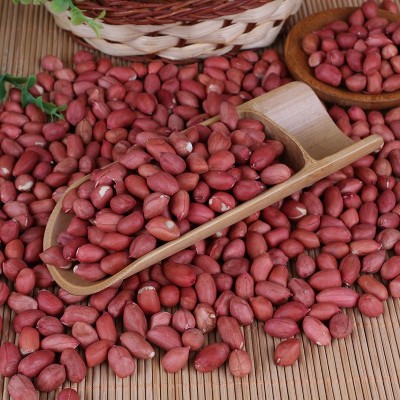批发四粒红花生米生鲜货东北四粒红农家花生粒25kg红皮小粒花生果图3