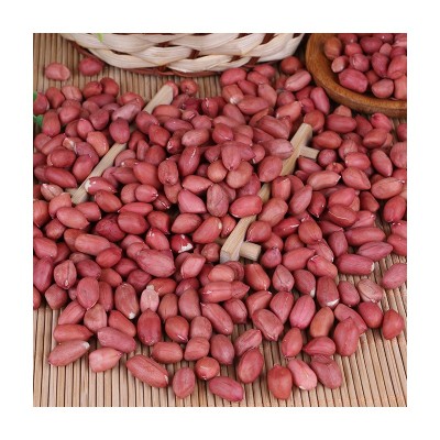 批发四粒红花生米生鲜货东北四粒红农家花生粒25kg红皮小粒花生果图5