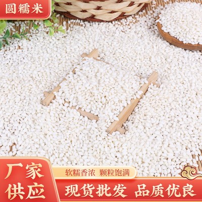 东北新鲜圆糯米新米端午节包粽子江米圆粒糯米酿就商用糯米批发图2