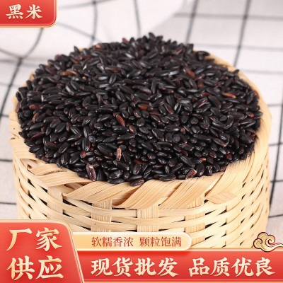 现货批发粗粮无染色黑大米农家黑米自种五谷杂粮黑香米25KG装黑米图2