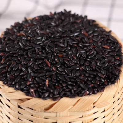 现货批发粗粮无染色黑大米农家黑米自种五谷杂粮黑香米25KG装黑米