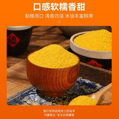 蛋黄小米沂蒙访沂蒙小米1.25kg正宗黄小米新米山东农家黄小米杂粮图3