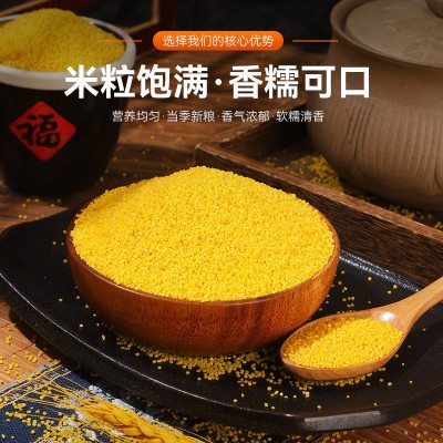 蛋黄小米沂蒙访沂蒙小米1.25kg正宗黄小米新米山东农家黄小米杂粮图4