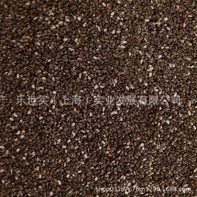 有机墨西哥奇亚籽 奇亚籽批发 颗粒饱满 高膳食纤维 源头产地工厂图4