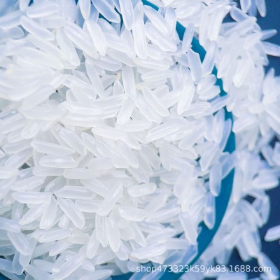 2024年新米正宗长粒猫牙香米蛋炒饭米长粒香米煲仔饭猫牙米图2