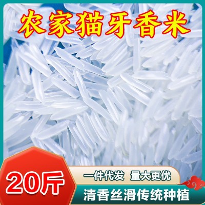 【猫牙香米】新米新鲜煮饭软糯长粒香大米优质南方大米20斤图3