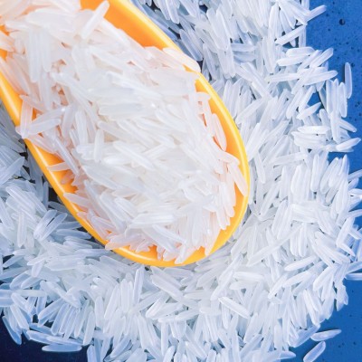 【猫牙香米】新米新鲜煮饭软糯长粒香大米优质南方大米20斤图4