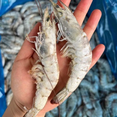 虾-厄瓜多尔白虾-至高无上大板原装进口冷冻大虾批发整件多规格图4