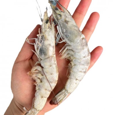 虾-厄瓜多尔白虾-至高无上大板原装进口冷冻大虾批发整件多规格图5