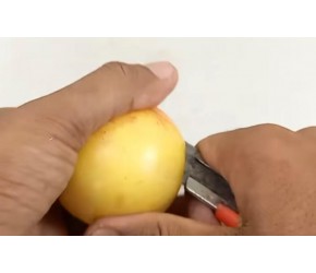 苹果的种植技巧，你都知道哪些？一起来学习一下吧！