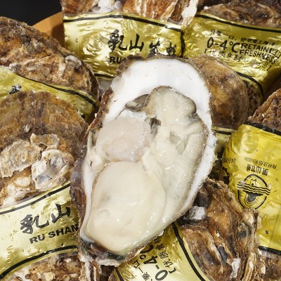 正宗乳山生蚝鲜活乳山牡蛎海蛎子批发海鲜贝类乳山生蚝牡蛎