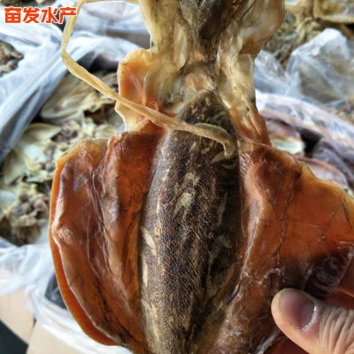厂家批发血墨鱼小鱼干火锅食材餐饮生鲜水产干货海鲜血墨鱼干货图4