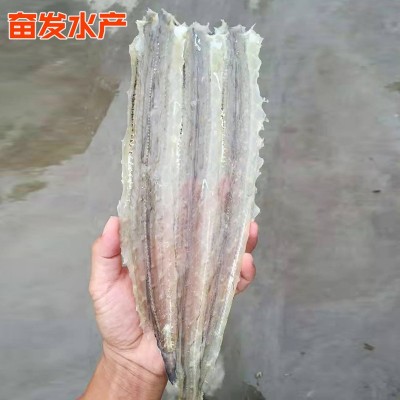 烧烤鳗鱼片 鳗鱼干 去骨鳗片海鱼干货 现烤鳗鱼切片深海鱼类海鲜图4