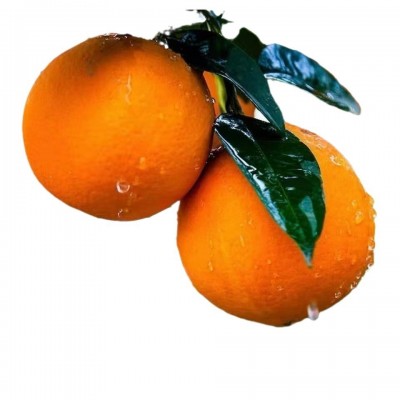 四川眉山正宗爱媛38号青见果冻橙子当季新鲜柑橘整箱批发一件代发图5