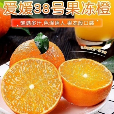 四川眉山正宗爱媛38号青见果冻橙子当季新鲜柑橘整箱批发一件代发