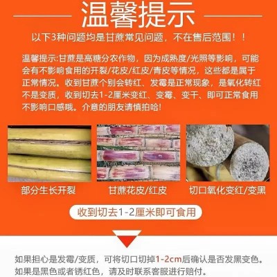 云南黄金甘蔗新鲜水果甜黄皮柑甘蔗包邮当季应季甘蔗一件代发图3