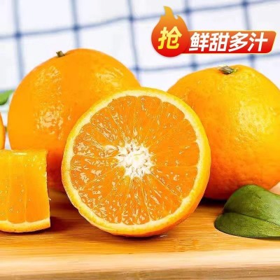 四川正宗青见果冻橙橘子应季水果当季新鲜整箱柑橘批发可一件代发