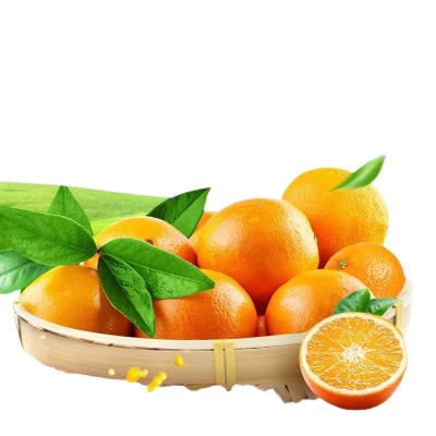 【赣州果园直供】正宗赣南脐橙应季新鲜薄皮橙子超市供应整箱批发图4