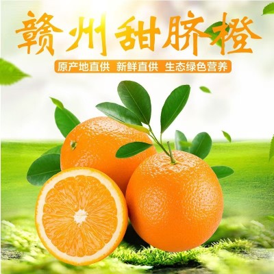 【赣州果园直供】正宗赣南脐橙应季新鲜薄皮橙子超市供应整箱批发图3
