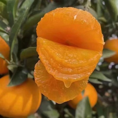 正宗赣南脐橙新鲜应季水果手剥橙甜脐橙浅橙黄色整箱批发代发图5
