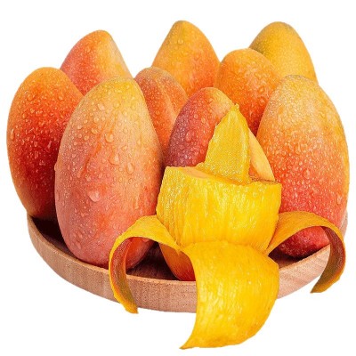 海南贵妃芒果斤装整箱新鲜应季水果斤红金龙海南芒果代发厂批发图4