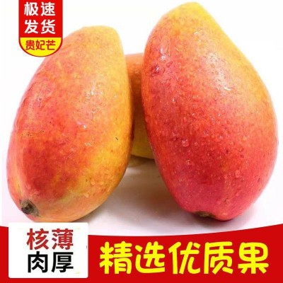 海南贵妃芒果斤装整箱新鲜应季水果斤红金龙海南芒果代发厂批发图2
