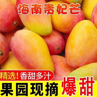 海南贵妃芒果斤装整箱新鲜应季水果斤红金龙海南芒果代发厂批发图3