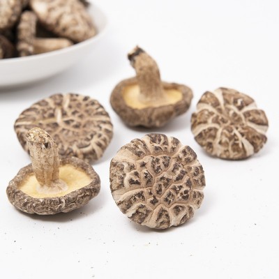 新鲜庆元农家花菇250g干货 冬菇干花菇 野生椴木香菇菌菇图4