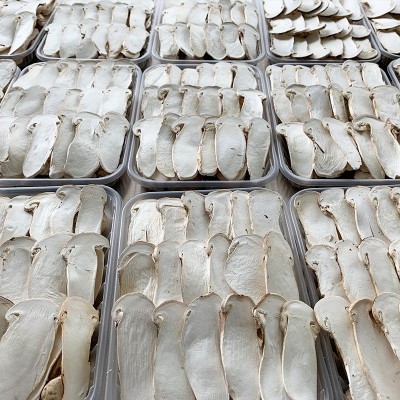 FD松茸干片非姬松茸非高山雪山松茸干货云南特产新鲜冻干松茸片图4