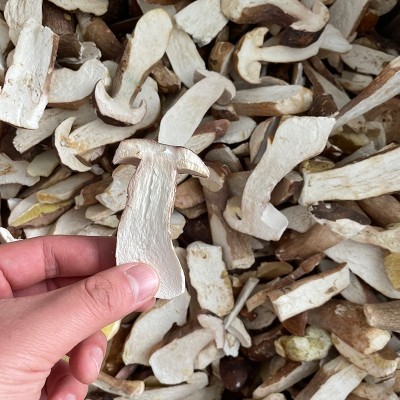 FD冻干菌菇云南特产牛肝菌干货非鲜牛肝菌批发冻干美味牛肝菌图2