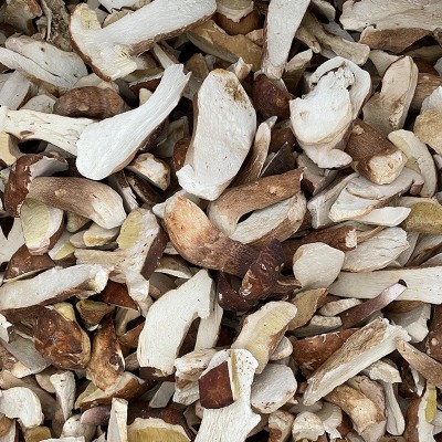 FD冻干菌菇云南特产牛肝菌干货非鲜牛肝菌批发冻干美味牛肝菌图4