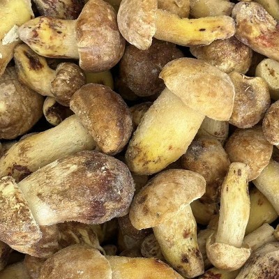 冻品云南白牛肝菌黄牛肝新鲜急冻菌菇批发非干货速冻白葱牛肝菌图3