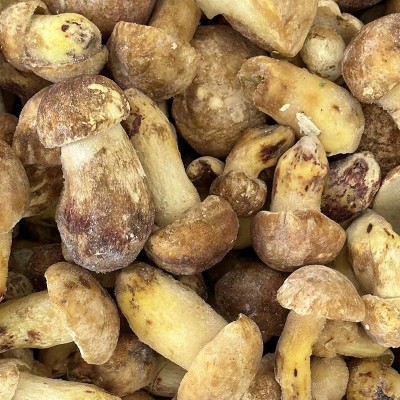 冻品云南白牛肝菌黄牛肝新鲜急冻菌菇批发非干货速冻白葱牛肝菌图2