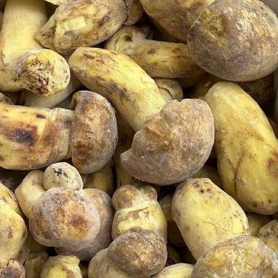 冻品云南白牛肝菌黄牛肝新鲜急冻菌菇批发非干货速冻白葱牛肝菌图4