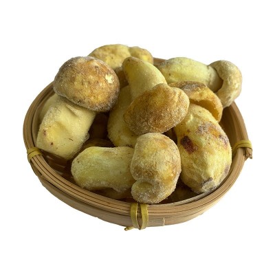冻品云南白牛肝菌黄牛肝新鲜急冻菌菇批发非干货速冻白葱牛肝菌图5