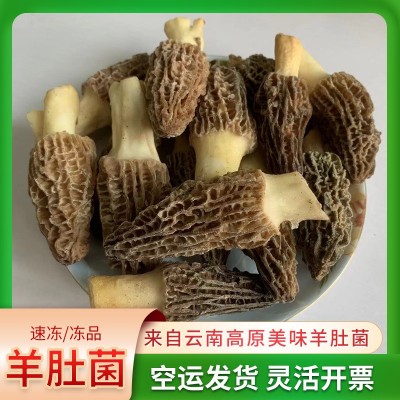 羊肚蘑菇非新鲜冻品冷冻云南菌菇批发速冻羊肚菌1Kg图4
