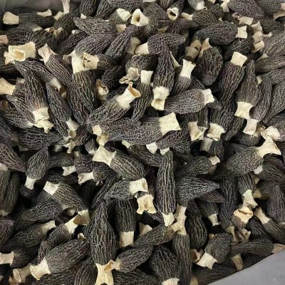 【当季新货】A级羊肚菌干货菌菇煲汤食材无硫熏批发百合滋补汤包图4