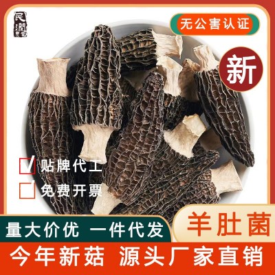 【当季新货】A级羊肚菌干货菌菇煲汤食材无硫熏批发百合滋补汤包