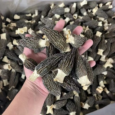 【当季新货】A级羊肚菌干货菌菇煲汤食材无硫熏批发百合滋补汤包图3