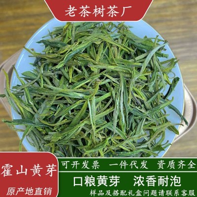 2025年新茶黄茶霍山黄芽口粮茶浓香耐泡500克